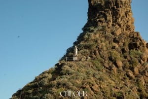 アーチ・トレッツァ：オデッセイ・ファラリオーニ・ボートツアー（水泳付き）