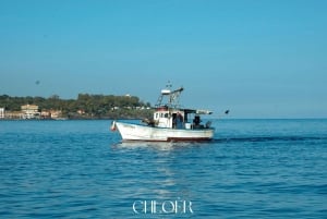 アーチ・トレッツァ：オデッセイ・ファラリオーニ・ボートツアー（水泳付き）