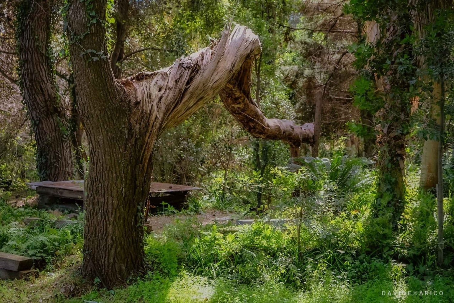 Ачиреале: прогулка в стиле барокко и дегустация вин в Батии