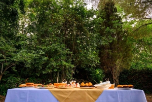 Acireale: Baroque walking and wine tasting at the Batia