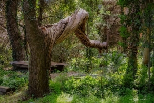 Ачиреале: прогулка в стиле барокко и дегустация вин в Батии