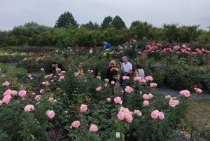 Ачиреале: прогулка в стиле барокко и дегустация вин в Батии