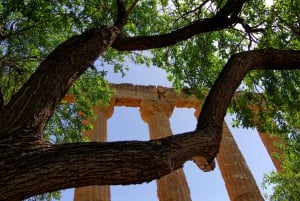 Agrigento: The Ultimate Valley of the Temples Private Tour