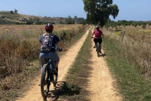 Agrigent: Tal der Tempel und Altstadt mit E-Bike & Food Experience