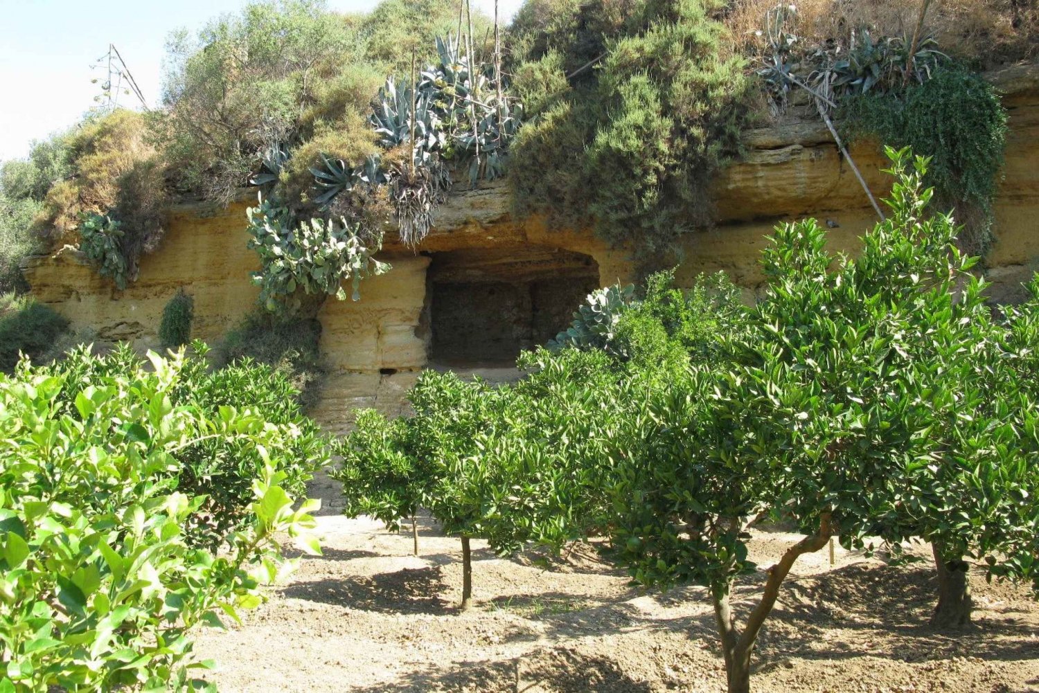 Agrigento Valley of the Temples and Kolymbethra Private Tour