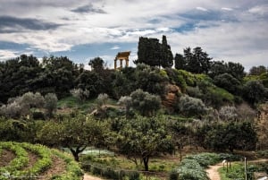 Agrigento, templenes dal og Kolymbethra - privat utflukt