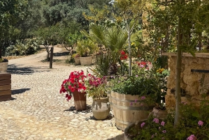 Agrigento Valley of the Temples & Food Experience by E-bike: Taste & Traditions