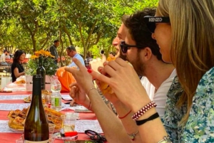 Agrigento: Valley of the Temples Gardens Picnic Experience