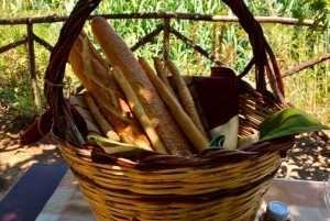 Agrigento: Valley of the Temples Gardens Picnic Experience