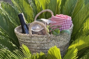 Agrigento: Valley of the Temples Gardens Picnic Experience