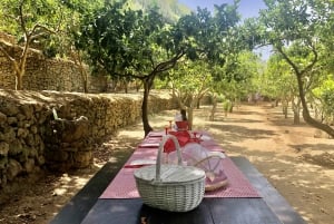 Agrigento: Experiência de piquenique nos jardins do Vale dos Templos