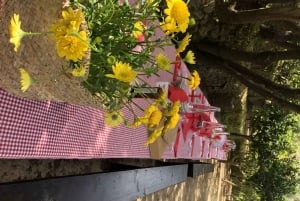 Agrigente: expérience de pique-nique dans les jardins de la vallée des temples