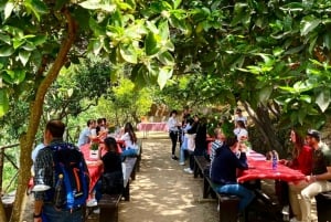 Agrigento: Valley of the Temples Gardens picknickupplevelse