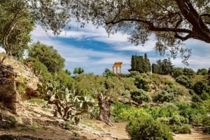 Agrigento: Tal der Tempel Gärten Picknick Erlebnis