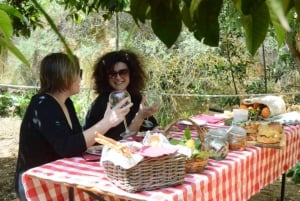 Agrigento: Tal der Tempel Gärten Picknick Erlebnis
