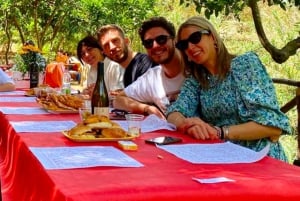 Agrigento: Experiencia de picnic en los jardines del Valle de los Templos