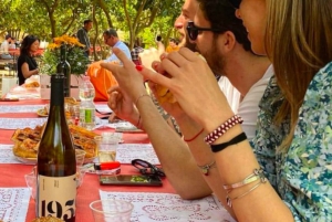 Agrigento: Valley of the Temples Gardens Picnic Experience