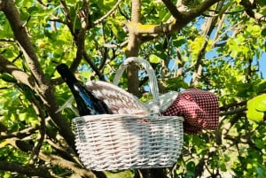 Agrigento: Valley of the Temples Gardens Picnic Experience