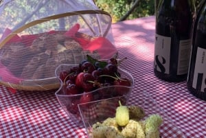 Agrigento: Valley of the Temples Gardens Picnic Experience