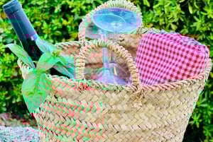 Agrigento: Valley of the Temples Gardens Picnic Experience