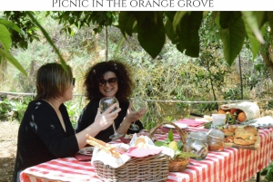 Agrigento: Valley of the Temples Gardens Picnic Experience