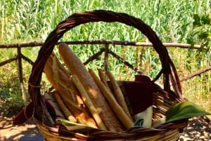 Agrigento: Valley of the Temples Gardens Picnic Experience