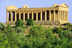 Agrigente : visite guidée premium de la Vallée des Temples