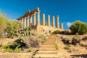 Agrigento: Tour archeologico privato della Valle dei Templi
