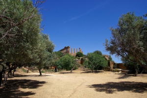 Agrigento: Tour archeologico privato della Valle dei Templi