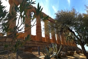 Agrigento: Valley of the Temples Private Tour