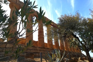 Agrigento: Dolina Świątyń - prywatna wycieczka