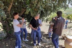 Agrigente : Vignobles et dégustation de vin