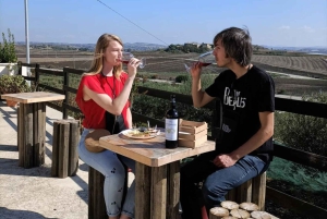 Agrigente : Vignobles et dégustation de vin