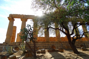 Agrigento: Walking Tour of Ancient Akragas with Local Guide