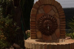 Agrigento: Vinsmaking og spasertur i vinmarkene.