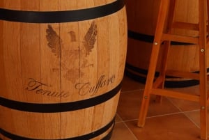 Agrigento: Vinsmaking og spasertur i vinmarkene.