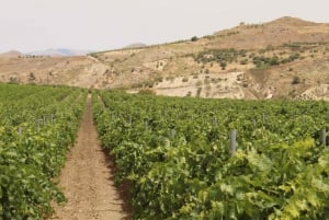 Agrigento: Vinsmaking og spasertur i vinmarkene.