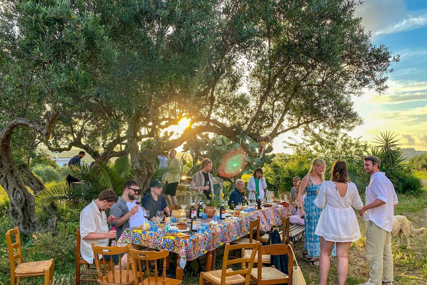 Alcamo: Degustação de vinho natural, azeite de oliva e mel - Sicília