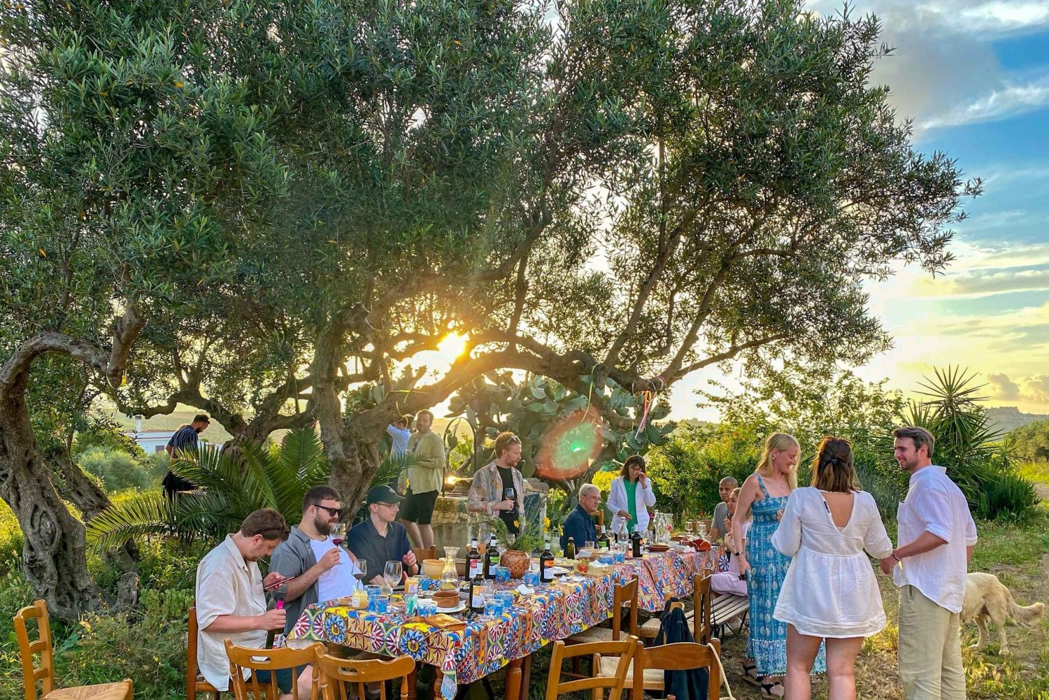 Alcamo: Cata natural de vino y aceite de oliva - Sicilia