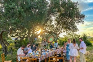 Alcamo: Cata natural de vino y aceite de oliva - Sicilia