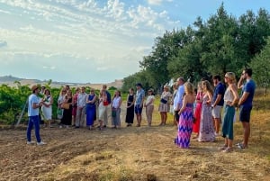 Alcamo: Cata natural de vino y aceite de oliva - Sicilia