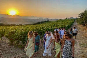 Alcamo: Cata natural de vino y aceite de oliva - Sicilia