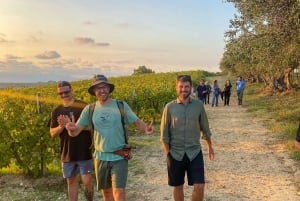 Alcamo: Cata natural de vino y aceite de oliva - Sicilia