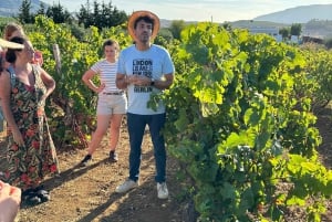 Alcamo: Cata natural de vino y aceite de oliva - Sicilia