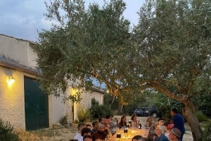 Alcamo: Cata natural de vino y aceite de oliva - Sicilia