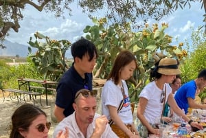 Alcamo: Cata natural de vino y aceite de oliva - Sicilia