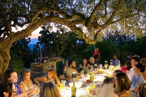 Alcamo: Cata natural de vino y aceite de oliva - Sicilia