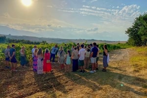 Alcamo: Cata natural de vino y aceite de oliva - Sicilia