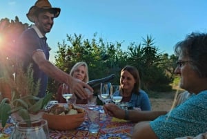 Alcamo: Cata natural de vino y aceite de oliva - Sicilia