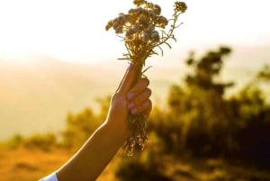 Alcamo: Degustazione Vini, 5 etichette Tenute Baglio Passofondo